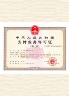 嵩县荣誉证书